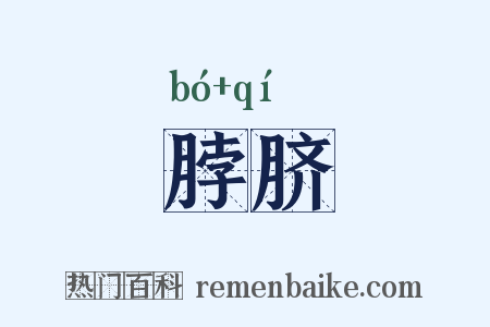 脖脐是什么意思的图片